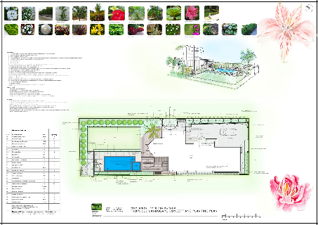 Flourish concept and planting plan 4-751 Flourish concept and planting plan 4-751